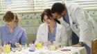 Grey's Anatomy - Die jungen Ärzte - Während Chief Webber möchte, dass Derek und Meredith (Ellen Pompeo, l.) seine Frau Adele in die Alzheimer-Studie aufnehmen, können Lexie (Chyler Leigh, M.) und Jackson (Jesse Williams, r.) nicht die Finger voneinander lassen ... © ABC Studios