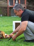 Der Hundeflüsterer - Cesar muss sich um Hündin Lady kümmern, die stets die Gäste ihres Frauchens verschreckt und klären, warum der Beagle Snoopy ohrenbetäubend laut jault. © Rive Gauche Intern. Television