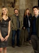 Mad Love - (1. Staffel) - Müssen einige Hindernisse überwinden, um ihre große Liebe zu finden: Ben (Jason Biggs, vorne r.), Kate (Sarah Chalke, vorne l.) Connie (Judy Green, hinten r.) und Larry (Tyler Labine, hinten l.) ... © CPT Holdings, Inc. All Rights Reserved.
