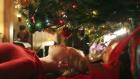 Grey's Anatomy - Die jungen Ärzte - Weihnachten. Die einen können es kaum erwarten, die anderen hoffen inständig, dass es schnell vorbei geht. Meredith und George gehören zu letzteren, aber sie lassen Izzie (Katherine Heigl) die Wohnung dekorieren, damit sie von ihrem Liebeskummer abgelenkt wird ... © Touchstone Television